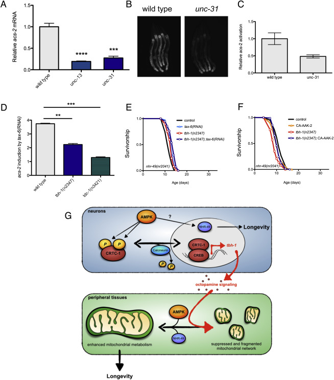 1-s2.0-S0092867415001373-figs7.jpg