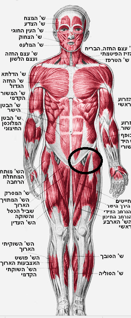 01cab2f407bd9fd9c590a9474a352097.png