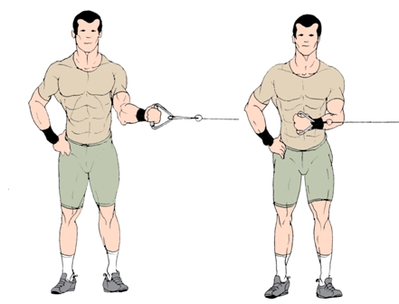 shoulder-internal-rotation.jpg
