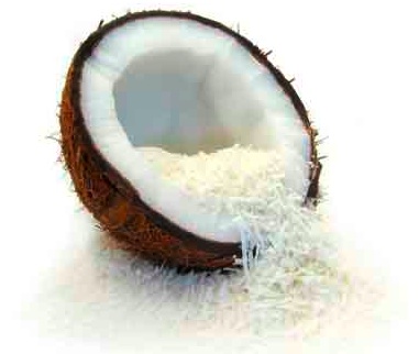coconut-edit.jpg