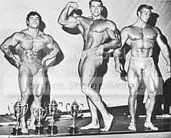 Arnold9.jpg