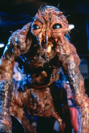 TheFly1.jpg