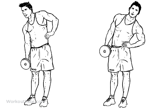 Dumbbell_Side_Bend.png