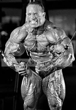 palumbo.jpg