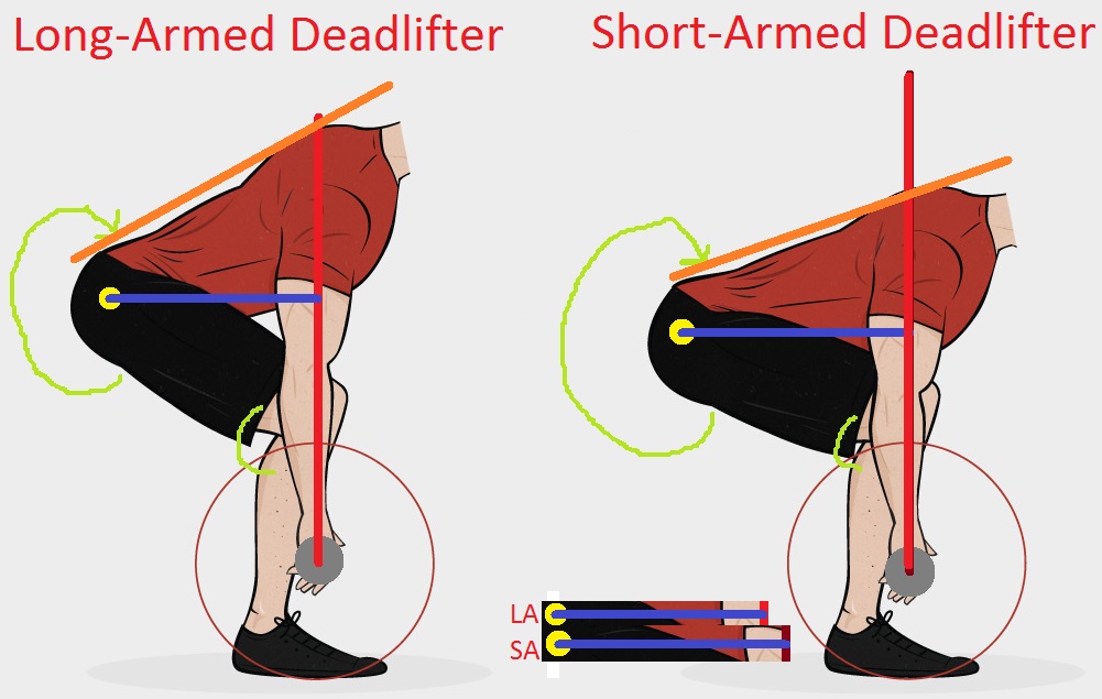 long-arm-short-arm-deadlift.jpg