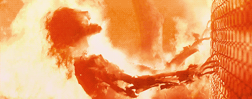 tumblr_n80ev632Fw1qzo8iho1_500.gif