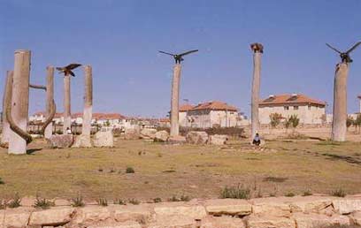 D553-045_arad_wa.jpg